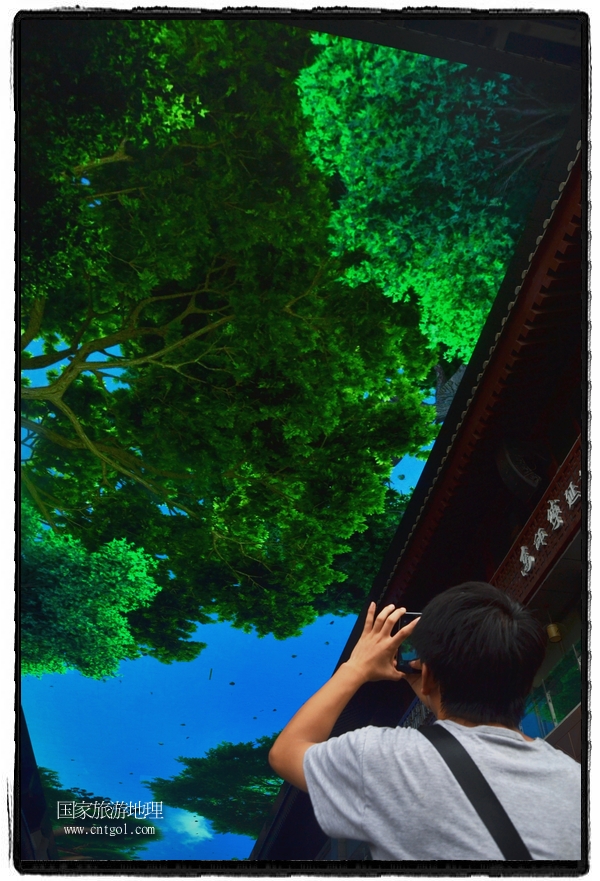 9月8日，在西安市大雁塔景區(qū)，“天幕”景觀吸引游客駐足觀看，并拿出手機拍攝。